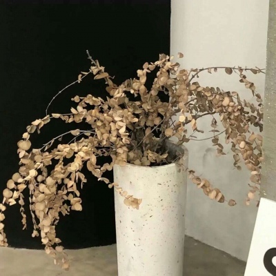 兽设校园场景创作福瑞群